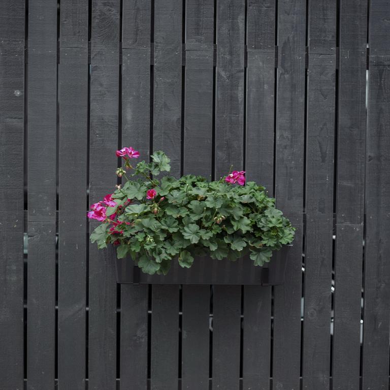Domi Lini Druskininkai Exterior foto